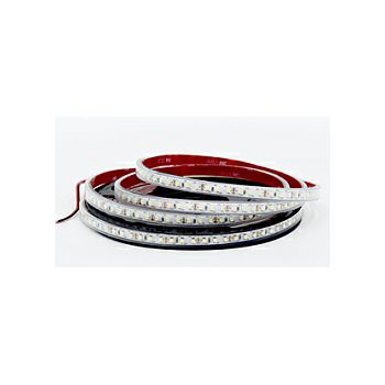 EcoVision LED traka 5m, 2835, 120LED/m, 14.4W/m, 24V DC, 6000K, IP67