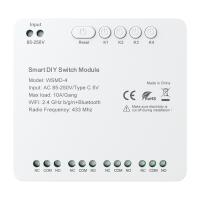 DIY Avatto WSMD-4 250V smart switch module