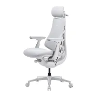 LiberNovo Omni Pro 45 cm Ergonomic Chair (White)