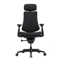 LiberNovo Omni SE 48 cm Ergonomic Chair (Black)