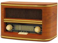 Dartel radio FM, AM, Bluetooth, RETRO, RD-1901BT orah - 05100100