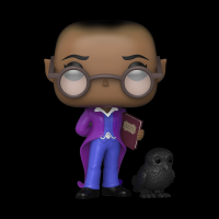 FUNKO POP & BUDDY: SANDMAN - LUCIENNE W/MATTHEW