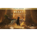 Igra PC Beast of Reincarnation Deluxe Edition (EU)