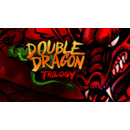 Igra PC Double Dragon Trilogy