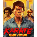 Igra PC Karate Survivor