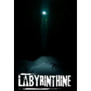 Igra PC Labyrinthine