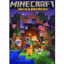 Igra PC Minecraft Java & Bedrock Edition