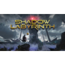 Igra PC Shadow Labyrinth
