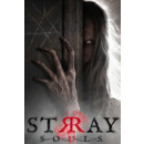 Igra PC Stray Souls