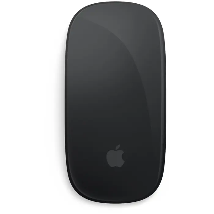 Apple Magic Mouse, mouse (black)