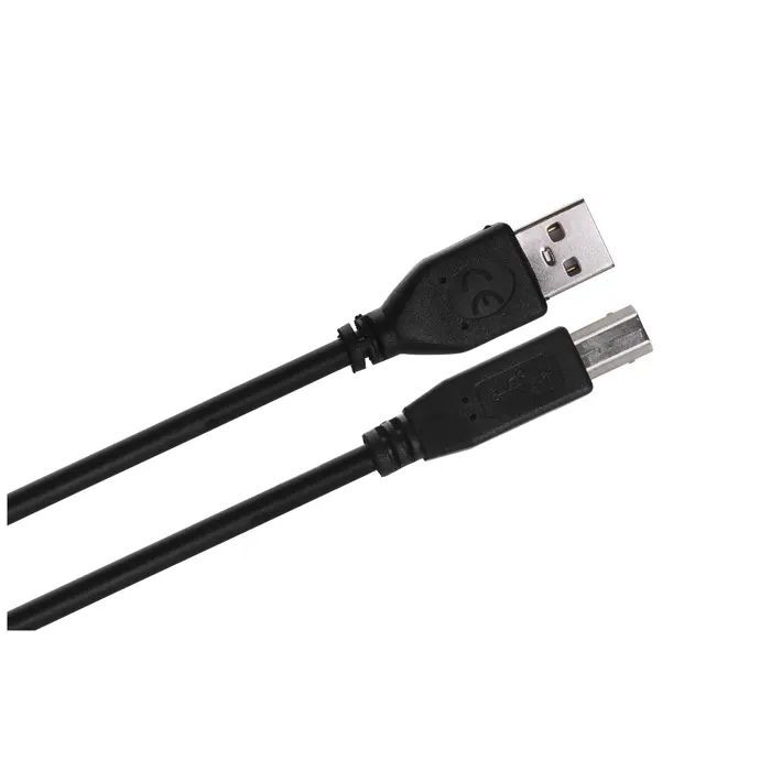 Gembird 3m USB 2.0 A/B M USB cable USB A USB B Black