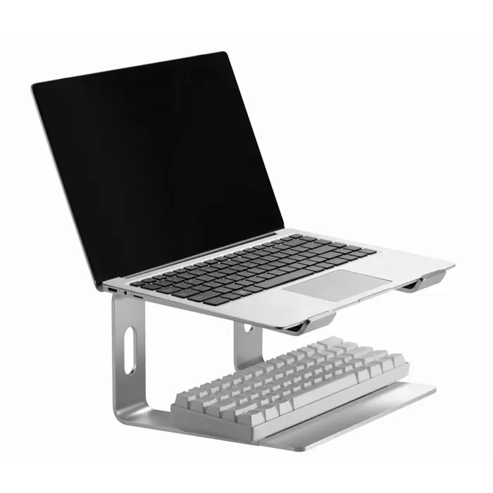 gembird-nbs-d1-01-laptop-stand-aluminium-silver-396-cm-156-91552-chlgempod0009.webp