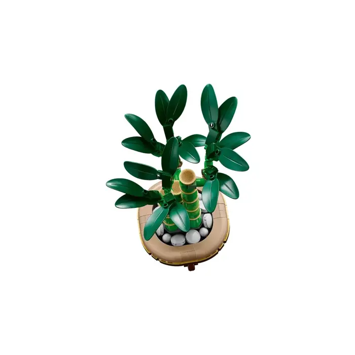 lego-botanicals-10344-dracena-sandera-58037-klolegleg1565.webp