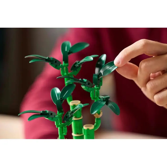 lego-botanicals-10344-dracena-sandera-61708-klolegleg1565.webp
