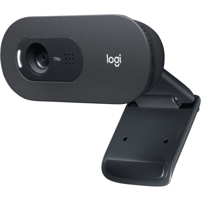 logitech-c505e-hd-webcam-27451-e0007997.webp
