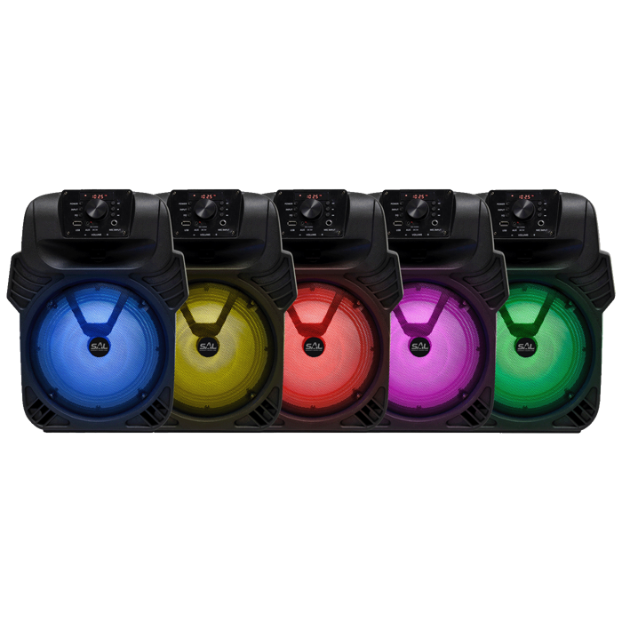 sal-zvucnik-bezicni-bluetooth-fm-radio-karaoke-40-25-par20bt-79715-dez-56468.webp