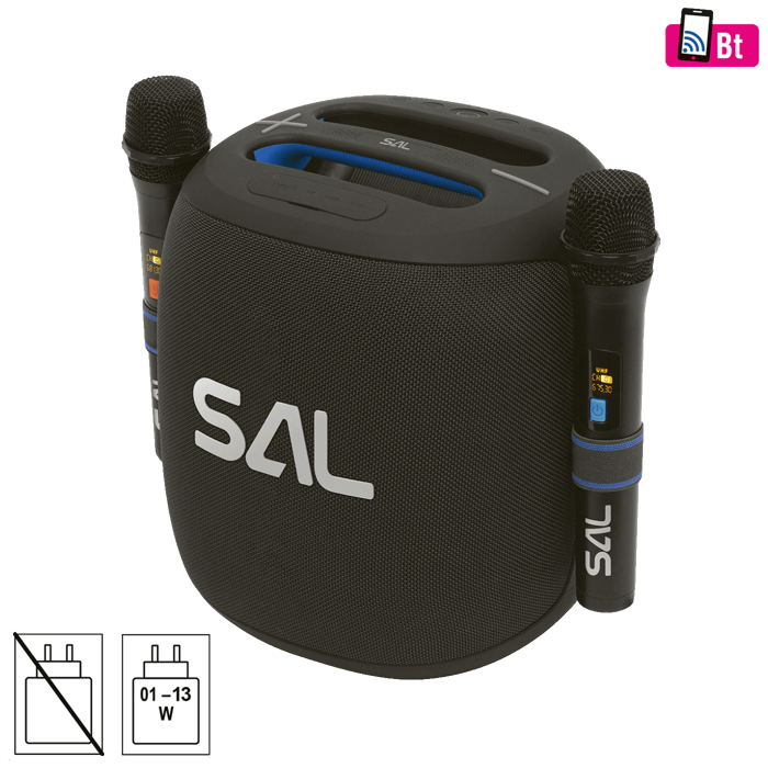 sal-zvucnik-bezicni-sa-mikrofonomboomboxbluetooth100wipx5-pa-42106-dez-62777.webp