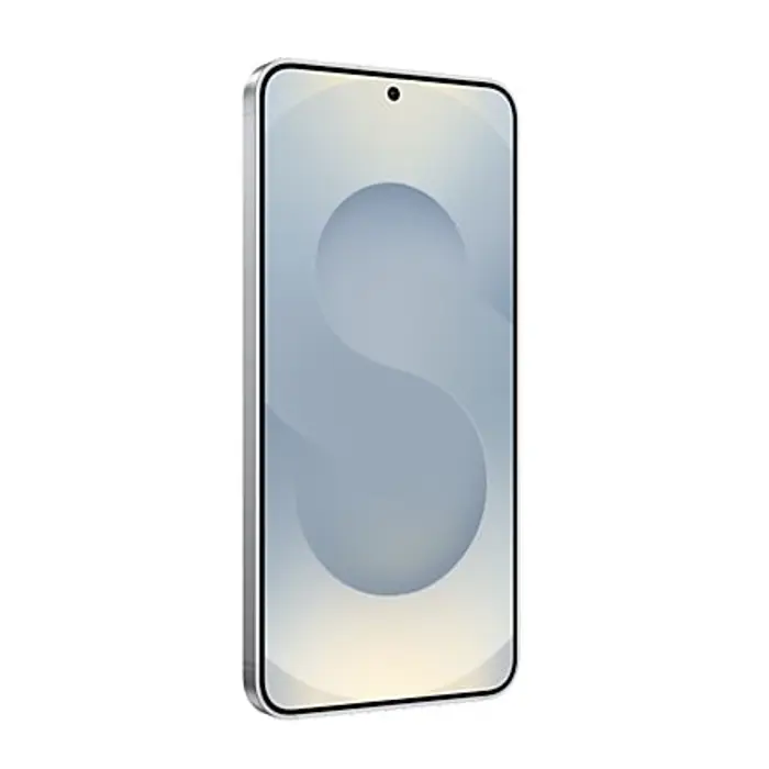 samsung-galaxy-s25-enterprise-edition-158-cm-62-dual-sim-and-173-wlononwcroxok.webp