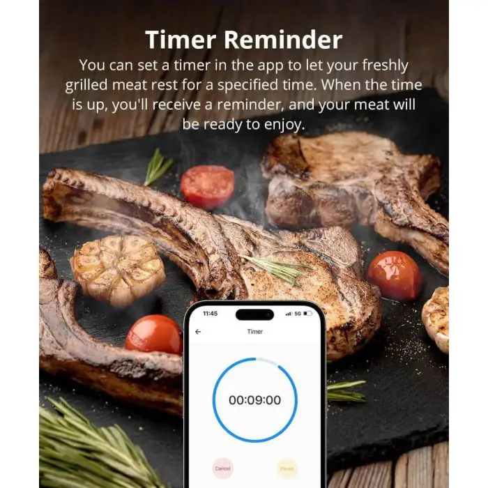 sonoff-termometer-for-meat-bmt01-16273-e0011561.webp