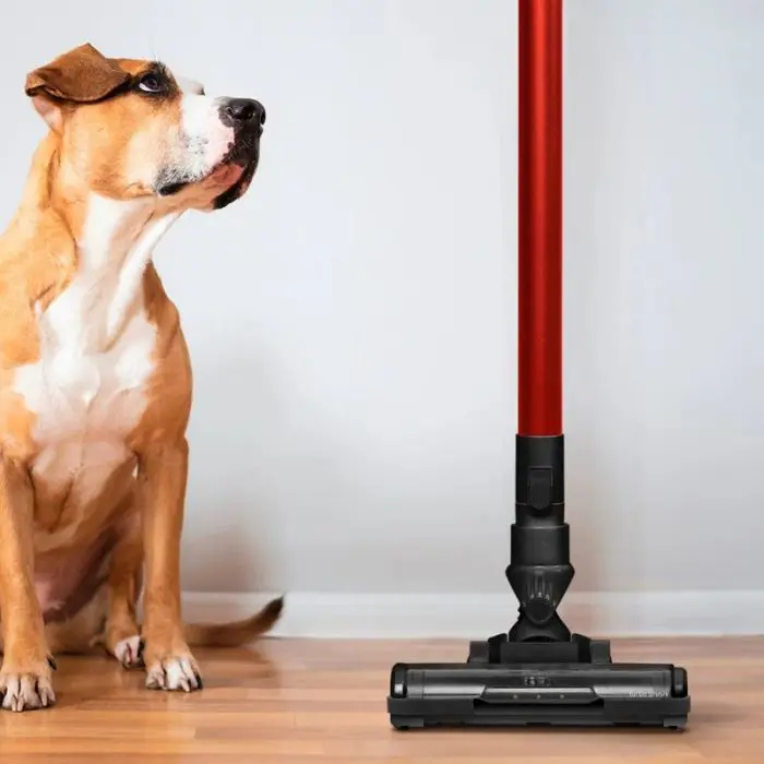 ufesa-upright-vacuum-cleaner-kalahari-17105-e0013385.webp
