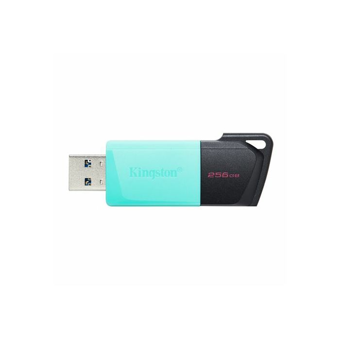 MEM UFD 256GB DTXM KIN