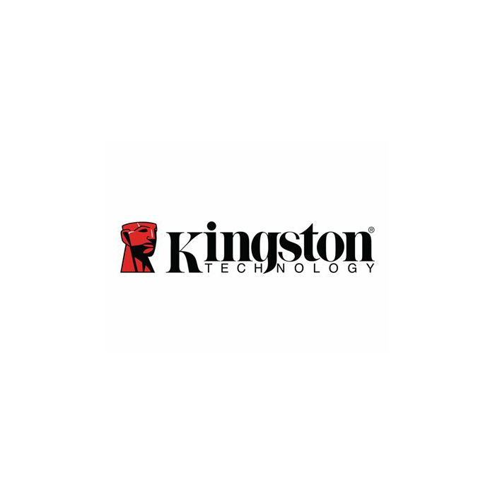 KINGSTON 128GB DataTraveler Exodia M