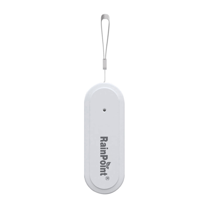 Rainpoint Smart+ Smart Thermohygrometer
