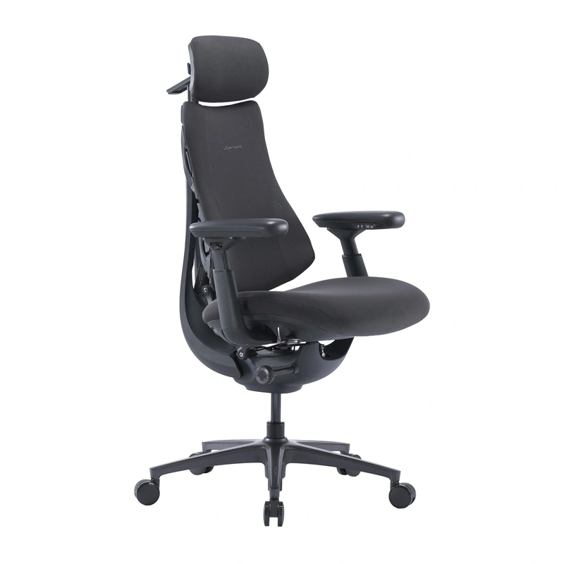 LiberNovo Omni Pro 45 cm Ergonomic Chair (Graphite)
