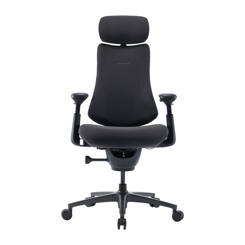 LiberNovo Omni Pro 48 cm Ergonomic Chair (Graphite)