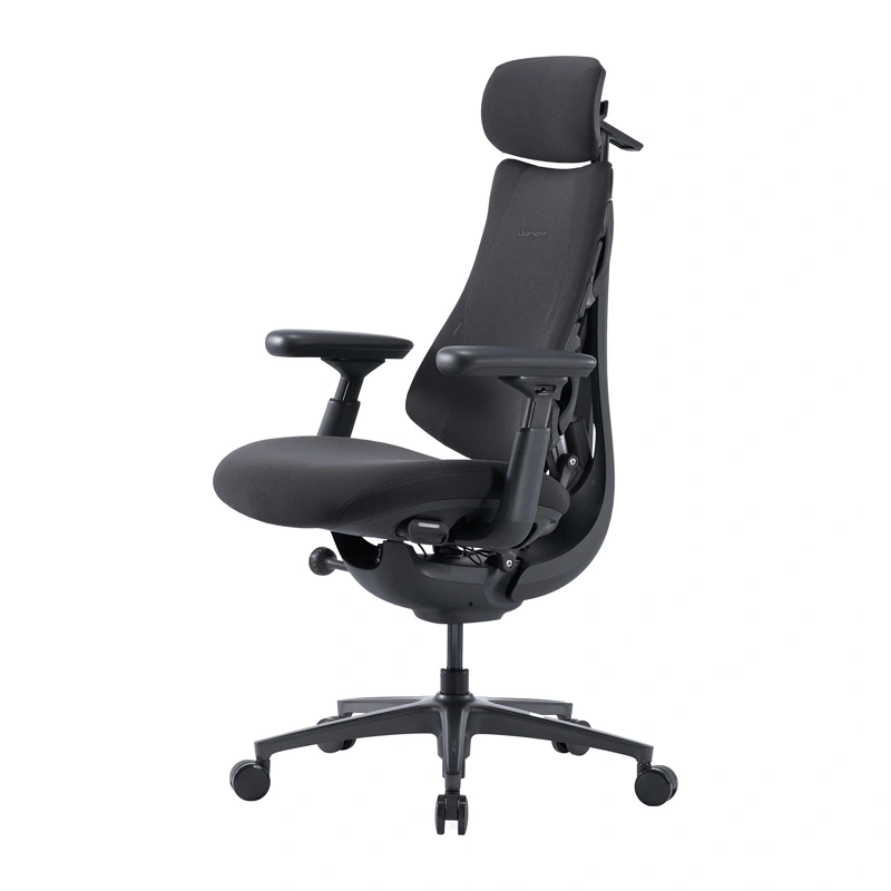 LiberNovo Omni Pro 48 cm Ergonomic Chair (Graphite)