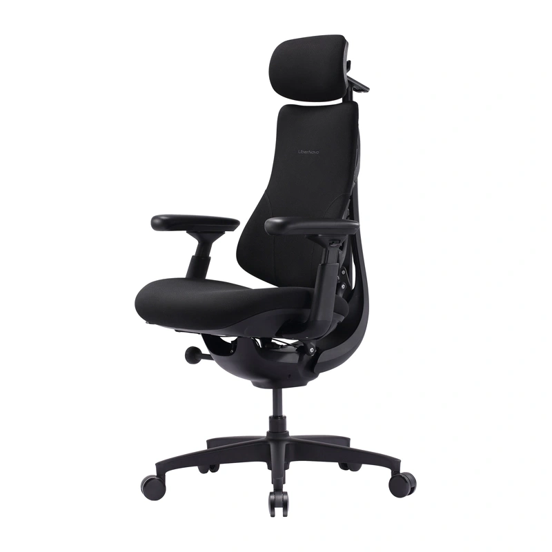 LiberNovo Omni SE 48 cm Ergonomic Chair (Black)