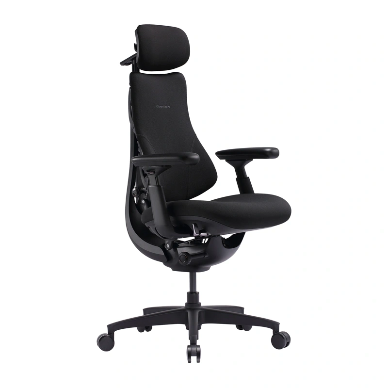 LiberNovo Omni SE 48 cm Ergonomic Chair (Black)