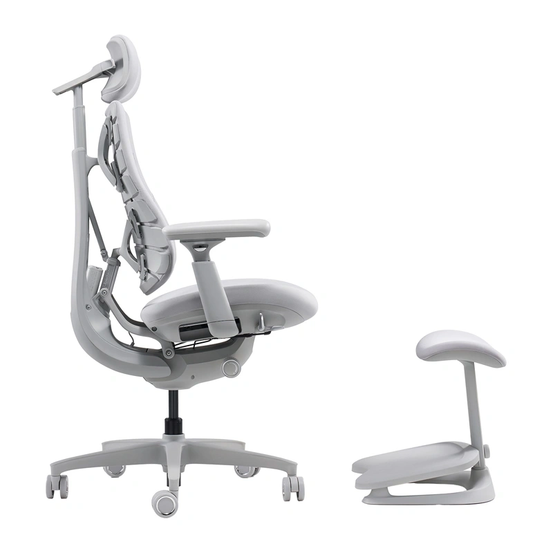 LiberNovo Omni 45 cm Ergonomic Chair (Gray)