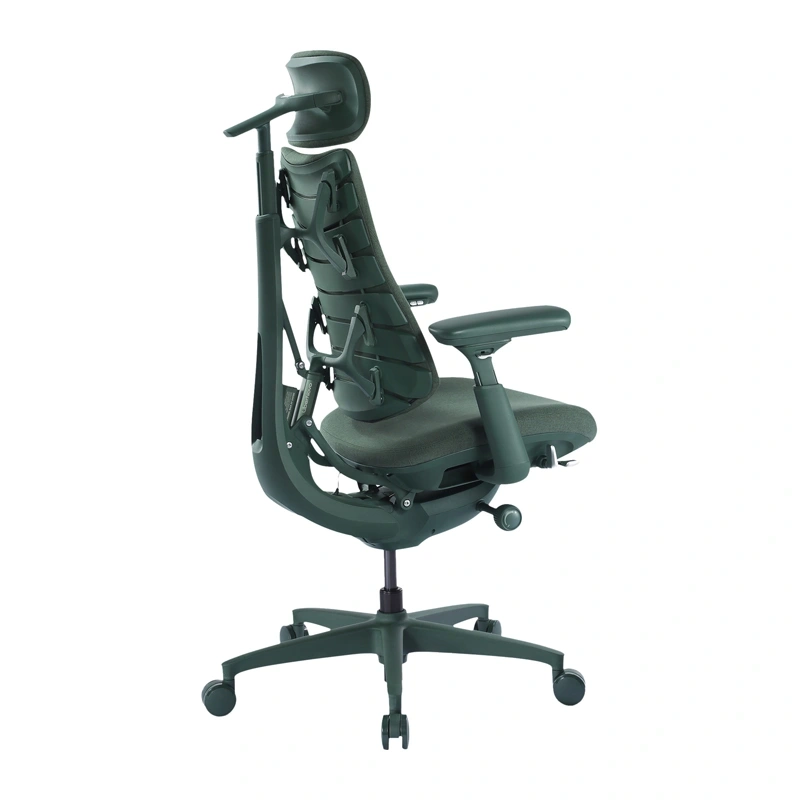 Dynamic ergonomic chair LiberNovo Omni (Moss Green)