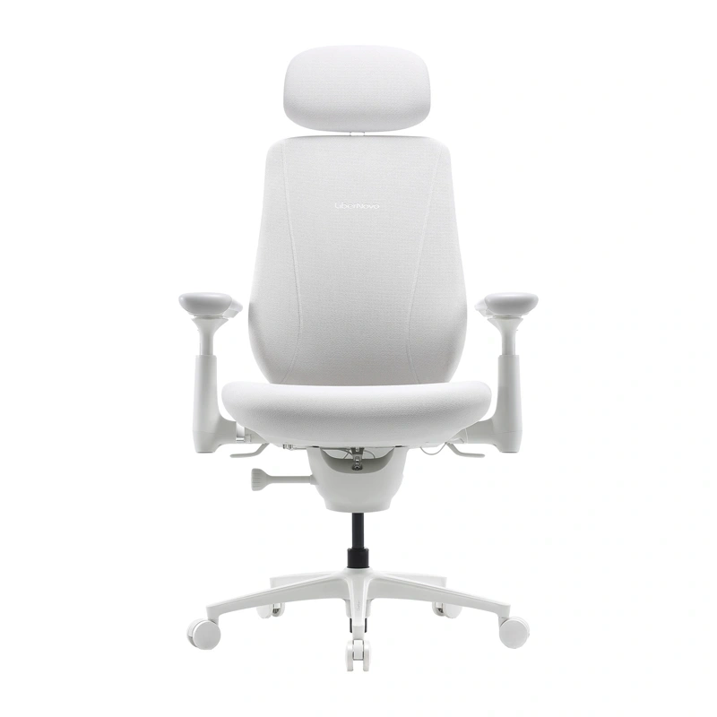 Dynamic Ergonomic Chair LiberNovo Maxis Glacier Co