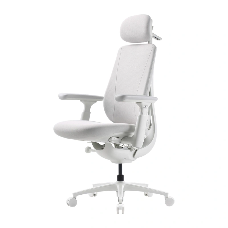 Dynamic Ergonomic Chair LiberNovo Maxis Glacier Co