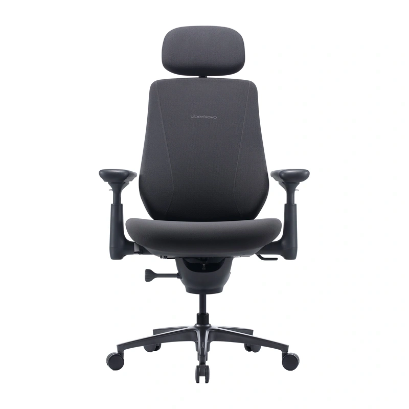 Dynamic Ergonomic Chair LiberNovo Maxis (Graphite)