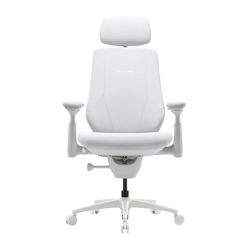 Dynamic Ergonomic Chair LiberNovo Maxis-PRO