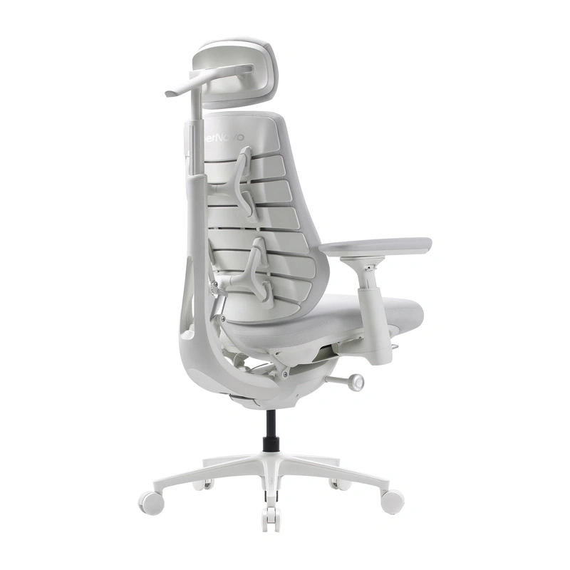 Dynamic Ergonomic Chair LiberNovo Maxis-PRO