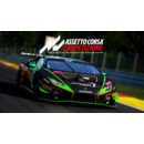 Igra PC Assetto Corsa Competizione (EU)