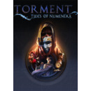 Igra PC Torment: Tides of Numenera  PL DIGITAL