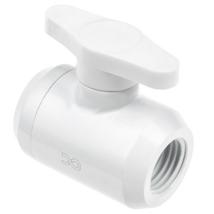 WASC-493-CK_2.jpg
