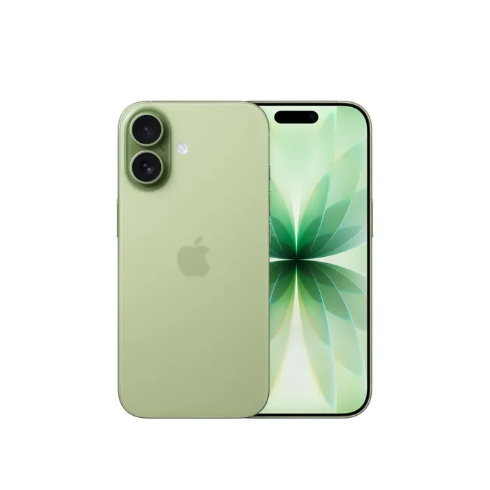 Apple iPhone 17 16 cm (6.3") Dual SIM iOS 26 5G USB Type-C 256 GB Sage
