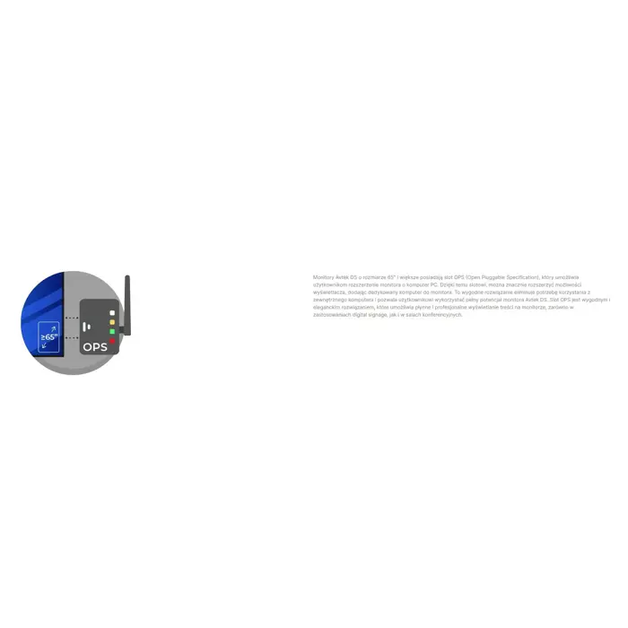AVTEK INFORMATION MONITOR DS2 65"
