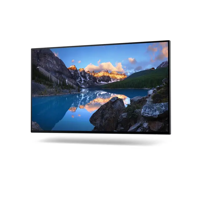Dell 60.5cm (23,8") U2422H 16:9 HDMI+
