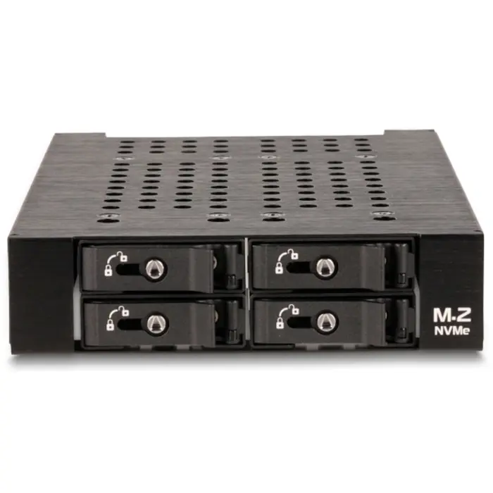 DeLOCK 3.5? Removable frame for 4 x M.2 NVMe SSD