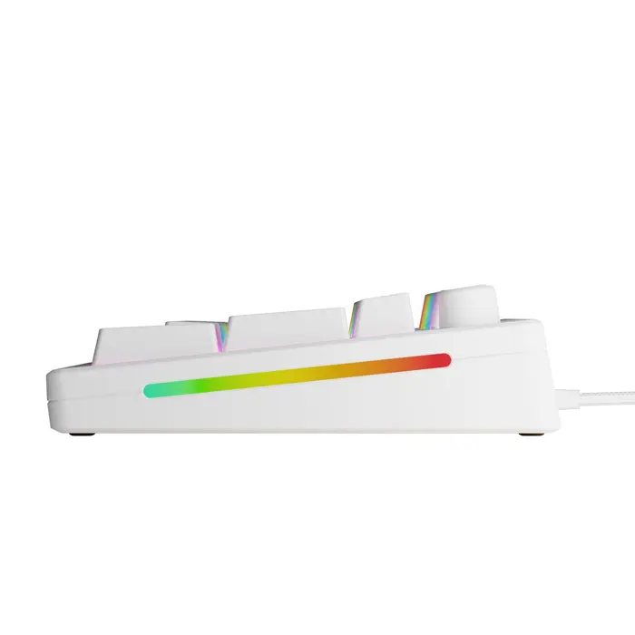 Glorious GMMK 3U 100% Custom Gaming Keyboard - Pre-Built, ANSI (US), Fox HE Switches, White