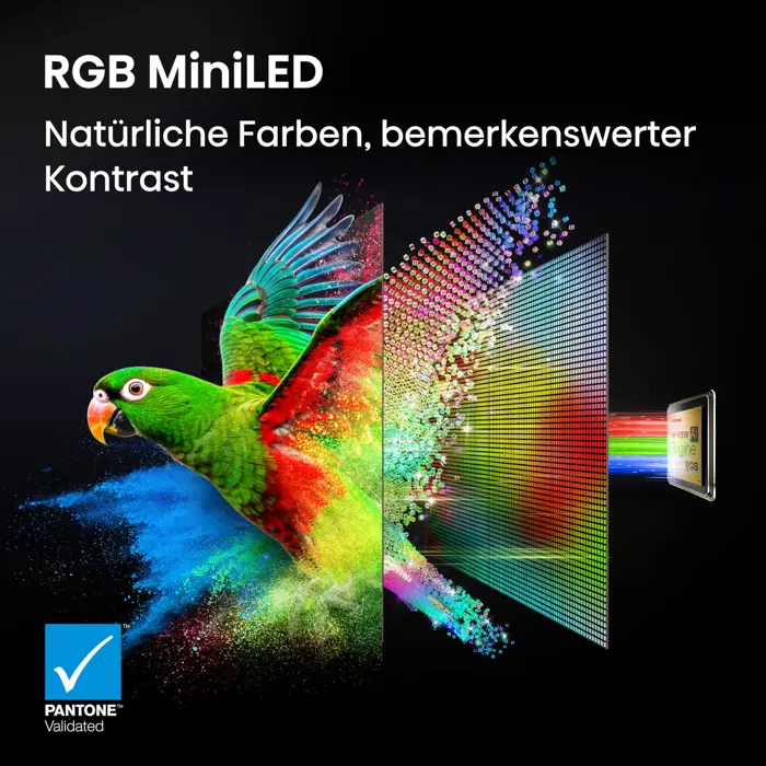 Hisense 85UR8DS RGB MiniLED (216 cm (85 inch))