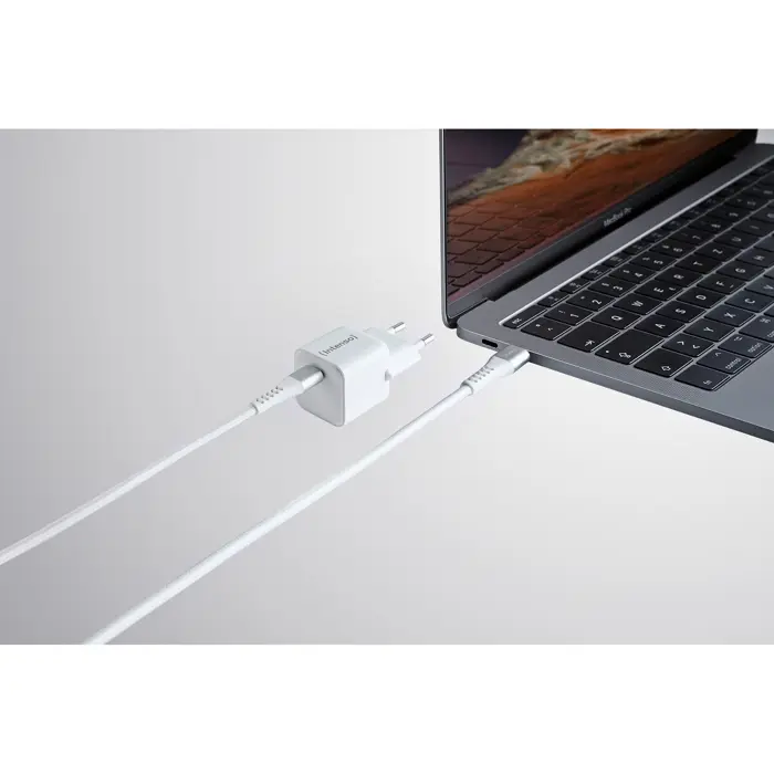 Intenso Power Adapter W30C GaN + C315C USB-C cable (white, 30 watts)