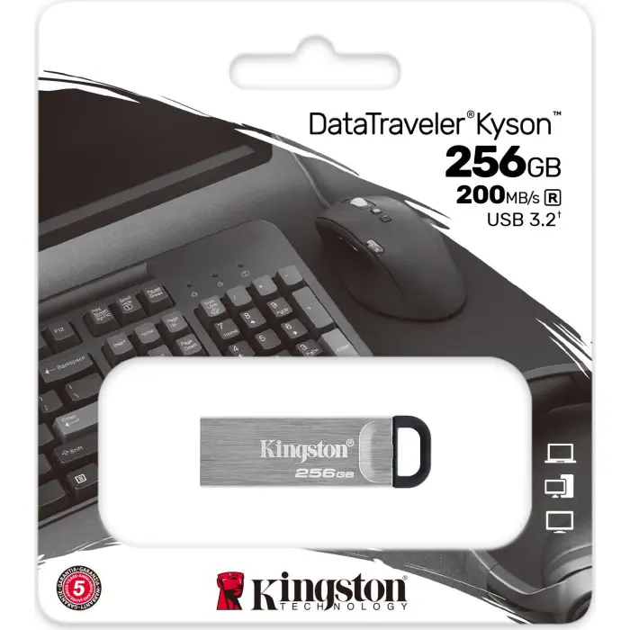 Kingston DataTraveler Kyson USB flash drive 256 GB USB Type-A 3.2 Gen 1 (3.1 Gen 1) Silver, USB stick